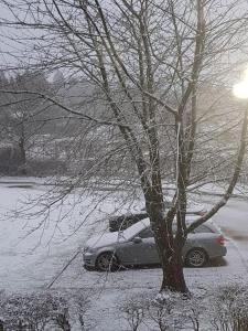 阿丁莱Garden Lodge close to Wakehurst and Kew Seed Bank Ardingly的停在雪覆盖的树旁的汽车