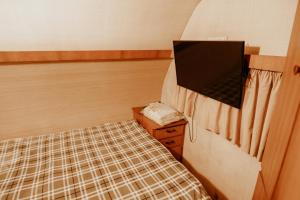 坎波斯杜若尔当La Brume Trailers的小房间设有床和电视
