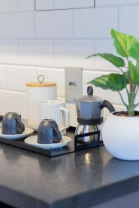 圣保罗Conforto e Aconchego na Zona Sul的一个带两个茶壶和植物的厨房台面