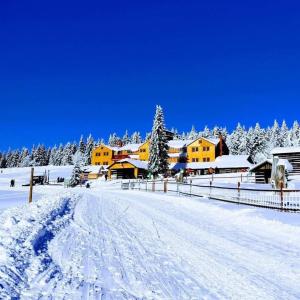 派克波特斯耐兹库Horský hotel Kolínská bouda的一座雪覆盖的村庄,后面有房子