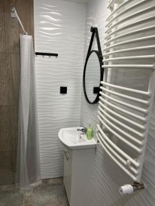 斯蒂格纳Pensjonat u Tosiek的白色的浴室设有水槽和镜子