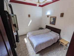 卢克索Nile Panorama Hotel的一间小卧室,配有一张床和一把椅子