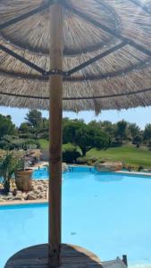 滨海圣西尔HAMEAU DES AMANDIERS - vue mer, golf et vignes的游泳池旁的大草伞