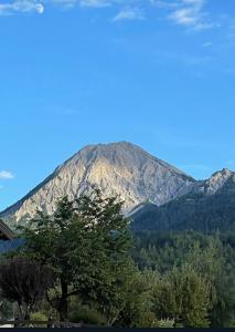 OberaichwaldFerienhaus Karlchen的远方的山,有树木在前沿