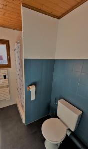 沙泰勒Appartement EDELWEISS的浴室设有白色卫生间和蓝色的墙壁。