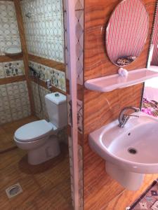 瓦迪拉姆Flower Life Camp的一间带卫生间和水槽的浴室