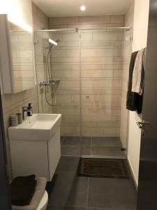 弗利姆斯2.5 Room Apartment in Center of Flims. Ski in/out的带淋浴、盥洗盆和卫生间的浴室