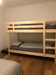 弗利姆斯2.5 Room Apartment in Center of Flims. Ski in/out的客房内的两张双层床