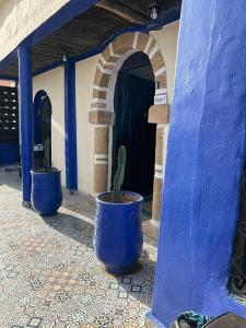 塔哈佐特La colina House taghazout的门前两只带仙人掌的蓝色花瓶