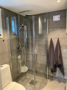 韦姆达伦Stuga i Vemdalen的浴室设有玻璃淋浴间和卫生间