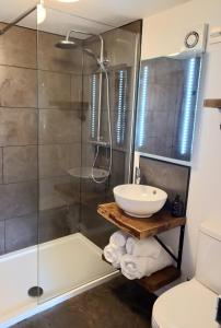 比尔斯韦尔斯Irfon Cottage的带淋浴、盥洗盆和卫生间的浴室