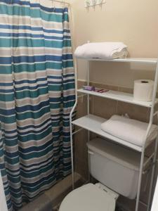 La LimaHostal Lima Verde的一间带卫生间和淋浴帘的浴室