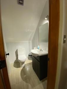 瓦尔迪维亚Hotel Casona Los Colonos的浴室配有白色卫生间和盥洗盆。