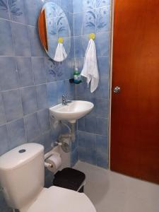 麦德林Road Living Home的蓝色瓷砖浴室设有卫生间和水槽