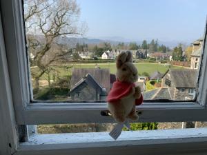 温德米尔拱门宾馆的泰迪熊坐在窗台上