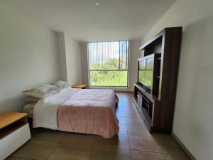 马尼萨莱斯Apartamento Amoblado en Manizales的一间卧室配有一张床和一台平面电视