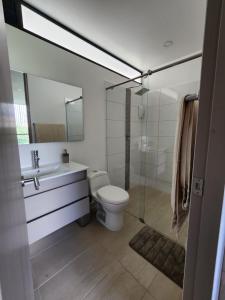 马尼萨莱斯Apartamento Amoblado en Manizales的浴室配有卫生间、盥洗盆和淋浴。