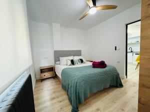 阿尔巴塞特Industrial -Apartamentos Birdie-的一间卧室配有一张床和吊扇
