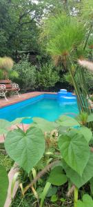 圣萨尔瓦多德朱Casa de Campo- Terra Viva的花园内的游泳池