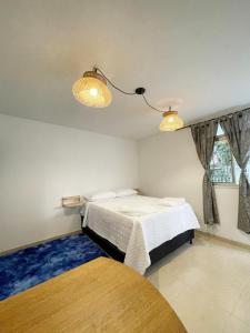 麦德林Selvática Alojamiento Eco的一间卧室设有一张床,天花板上设有两盏灯。