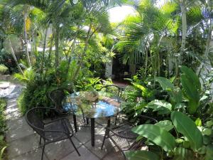 圣萨尔瓦多Cinco Hotel B&B的花园内带桌椅的庭院