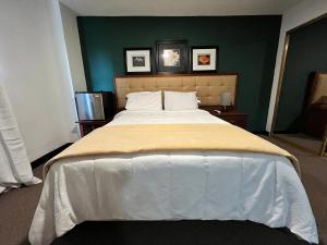 圣胡安SJ SUITES HOTEL的卧室内的一张大床,设有绿色的墙壁