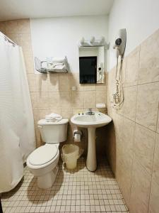 圣胡安SJ SUITES HOTEL的一间带卫生间和水槽的浴室