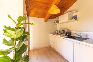 索尔特奥瑟戈尔Nature & Sun, Natural lifestyle - Hossegor的一间厨房,配有白色的橱柜和植物