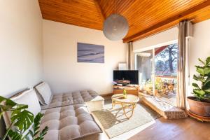 索尔特奥瑟戈尔Nature & Sun, Natural lifestyle - Hossegor的带沙发和电视的客厅