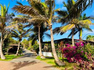 PrainhaVilla with privat pool near beach Santa Maria Sal Kap Verde的度假村前一排棕榈树