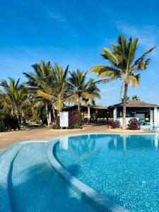 PrainhaVilla with privat pool near beach Santa Maria Sal Kap Verde的棕榈树度假村前的游泳池