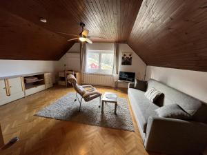 萨格勒布Cozzy apartment in nature的客厅配有沙发和椅子