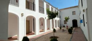 科尔多瓦La Jⲟya de los Patios - Apartamentos Turísticos的白色墙壁的建筑的庭院