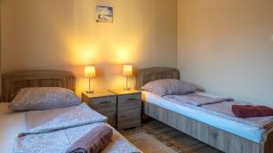 TolcsvaKirály Panzió的配有两张单人床的房间,配有两盏灯