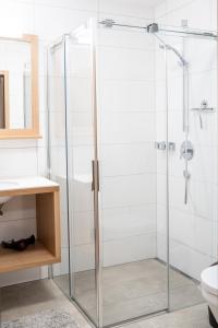 丰塔内拉Faschina Apartment - Top 1的带卫生间的浴室内的玻璃淋浴间