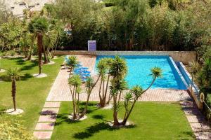 拉戈斯Marina Village Apartment的花园内种有棕榈树的游泳池