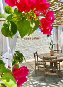 圣米格尔-杜戈斯托苏Casa Palma的桌子和门廊上的一束红色鲜花