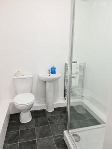 米德尔斯伯勒Eastgate Road的浴室配有卫生间、盥洗盆和淋浴。