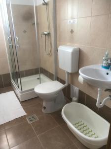 哈尔吉塔拜Casa Bogát Ház的浴室配有卫生间、盥洗盆和淋浴。