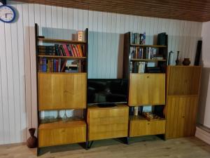 GroßheubachFerienhaus Magnolie的客厅配有木制书架和电视