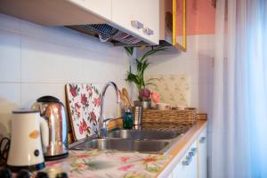 阿雷佐BIBI BOUTIQUE AREZZO Appartamento Rosafragola - Verdeconiglio的厨房配有水槽和台面