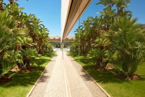 埃勒凡达尔艾美海滩水疗酒店的一条棕榈树和桥梁的走道