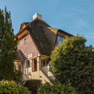Vogelenzang德基维特度假屋的顶部有 ⁇ 帽屋顶的房子