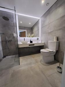 科维良Quinta Lourena - Casa do Caseiro的浴室配有卫生间、盥洗盆和淋浴。