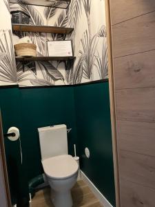 卡西斯Entre terre et mer à cassis的一间带卫生间和绿色墙壁的浴室