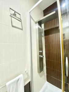 马德里皮拉米德1公寓的浴室里设有玻璃门淋浴