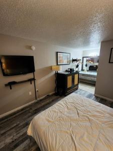 布兰森Branson Ozarks Inn的一间卧室配有一张床和一台平面电视