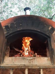 阿苏尔Cabañas Las Tahonas的砖炉,炉火炉