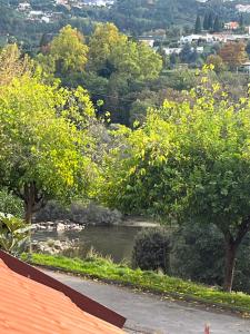 阿马兰特Casa da Linha的从房子的屋顶上可欣赏到河流美景
