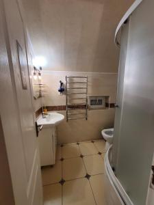 乌曼岛Guest house的一间带水槽和卫生间的小浴室